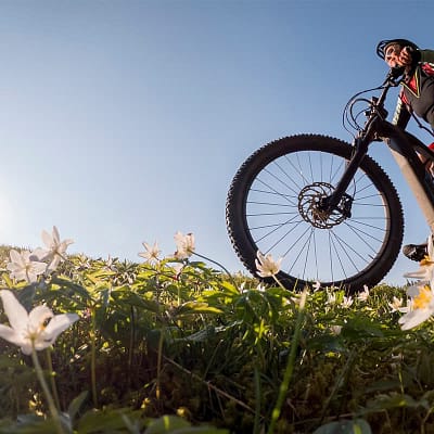 E-biking