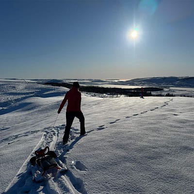Snow sledding