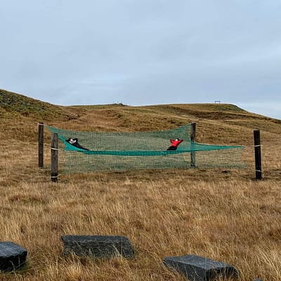 Giant hammock